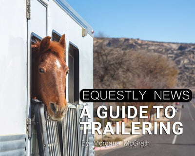 A Guide to Trailering